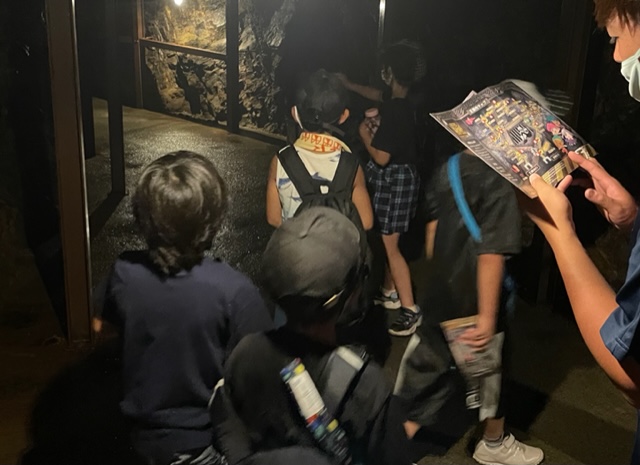 イリーサ２回目の夏休みの画像